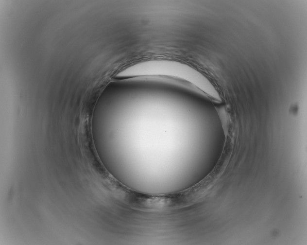 X0000089880225200707262216