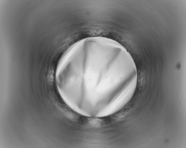 X0000089880226200707262216