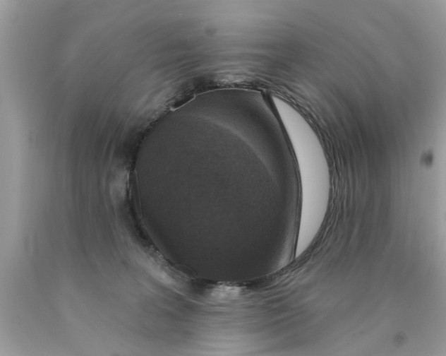 X0000089880227200707262216