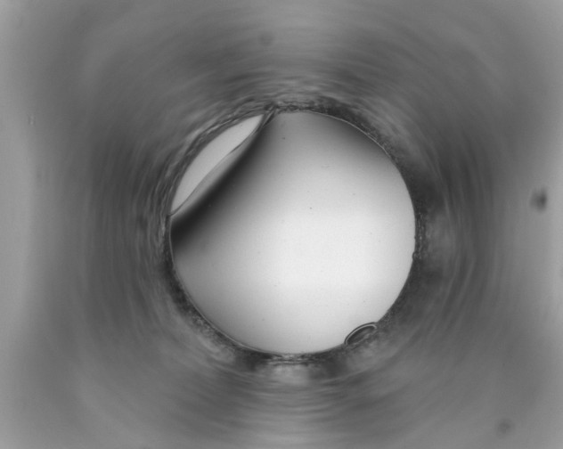 X0000089880228200707262216