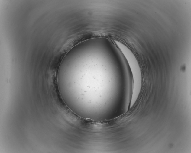 X0000089880229200707262216