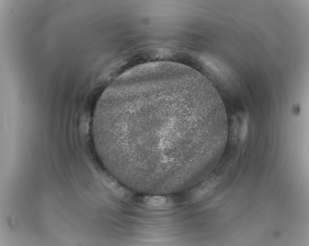 X0000089880230200707262216