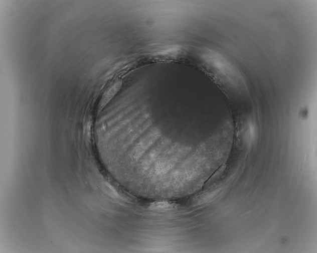 X0000089880231200707262216