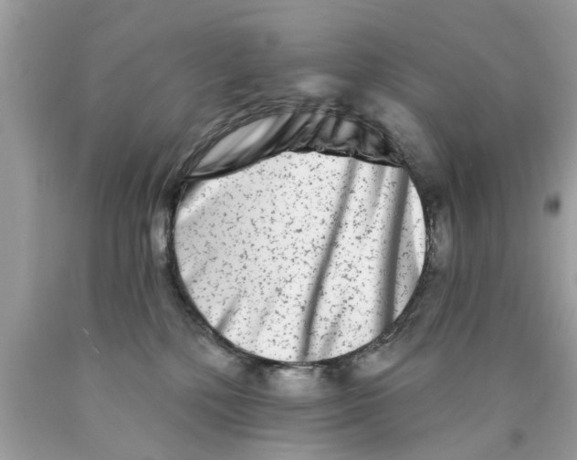 X0000089880232200707262216