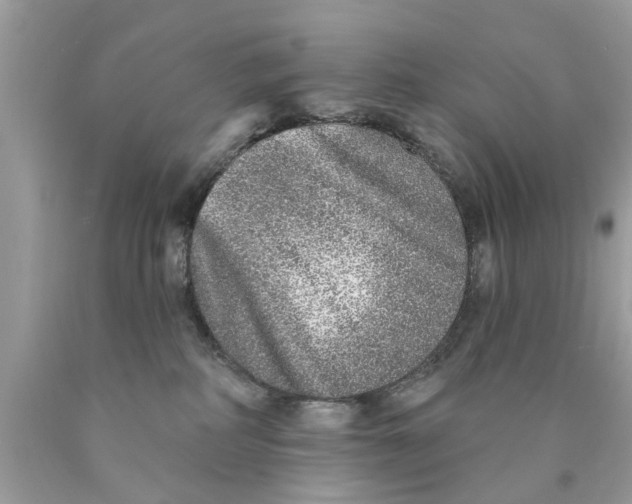 X0000089880234200707262216