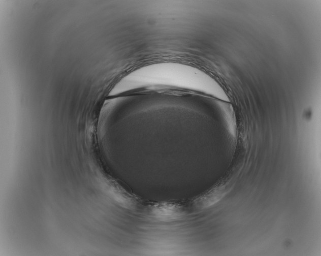 X0000089880235200707262216