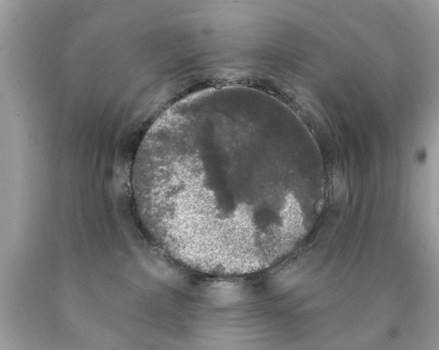 X0000089880236200707262216