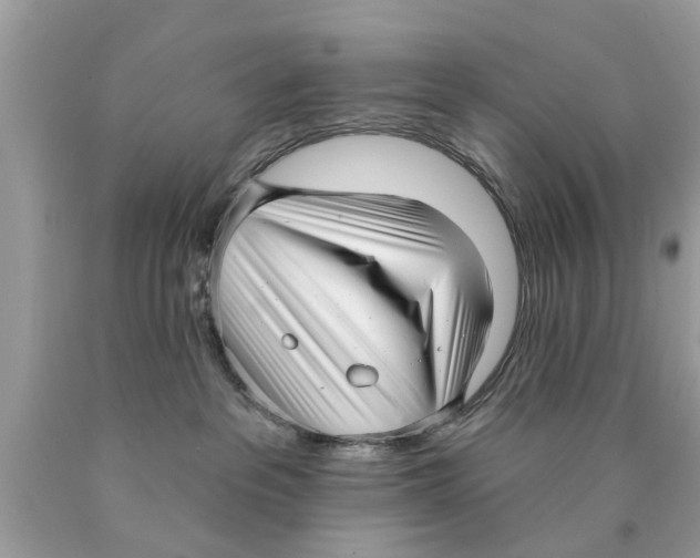 X0000089880237200707262216