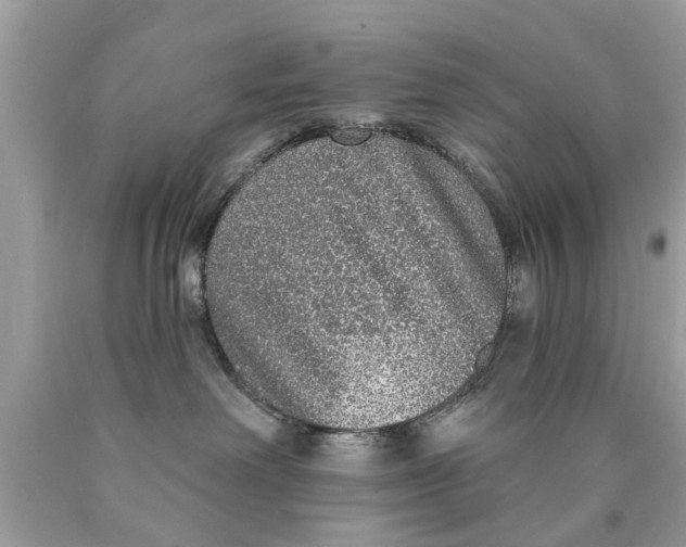 X0000089880238200707262216