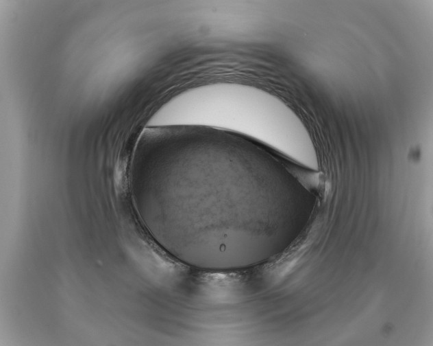 X0000089880239200707262216