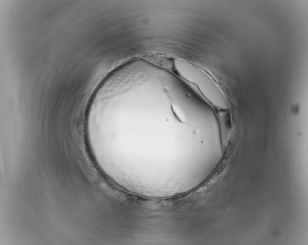 X0000089880241200707262215