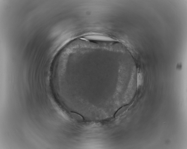 X0000089880243200707262215