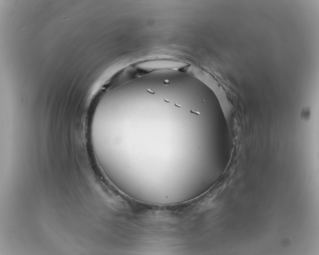 X0000089880244200707262215