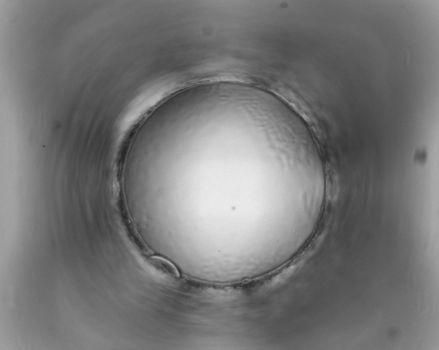 X0000089880245200707262215