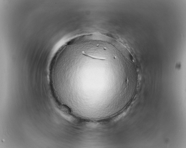 X0000089880246200707262215