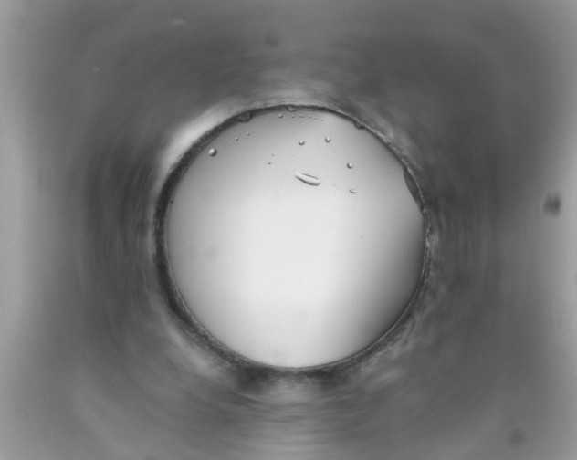 X0000089880248200707262215