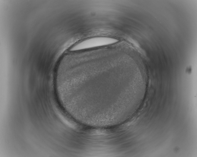 X0000089880250200707262215