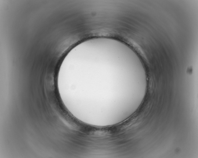 X0000089880251200707262215