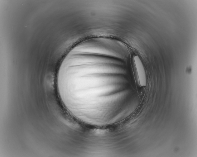 X0000089880255200707262215