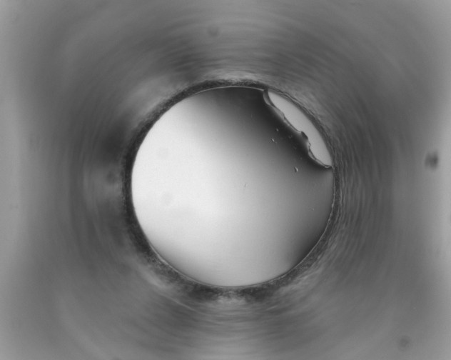 X0000089880256200707262215