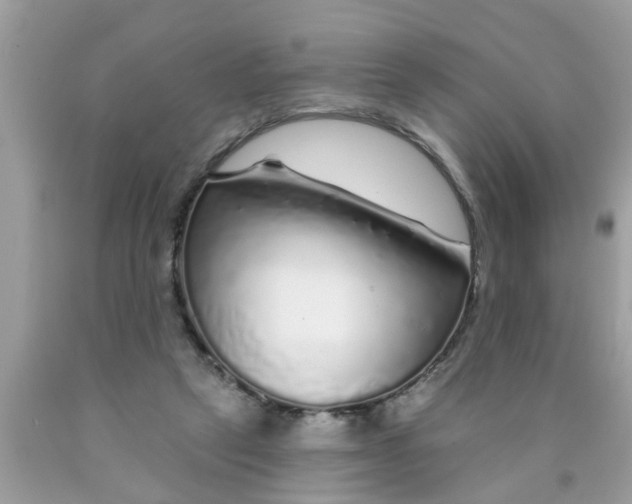 X0000089880257200707262215