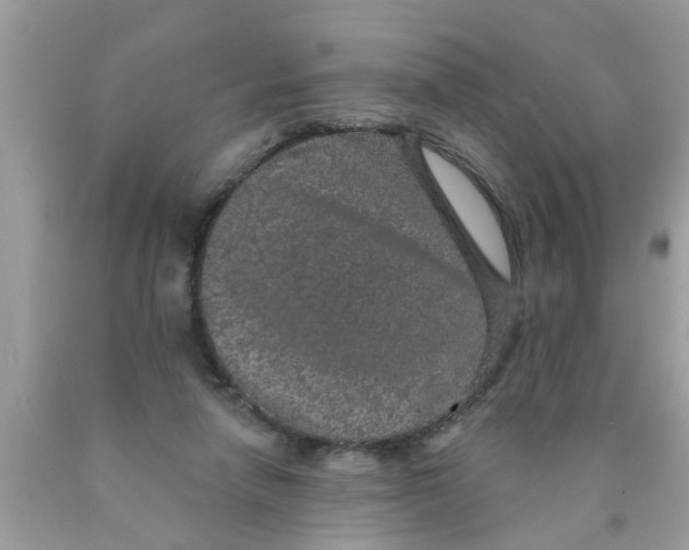 X0000089880258200707262215