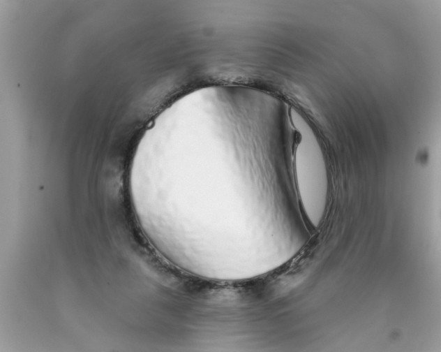 X0000089880259200707262215