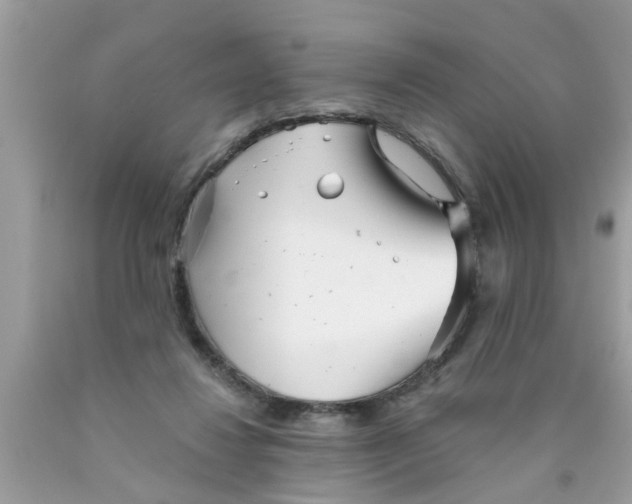 X0000089880260200707262215