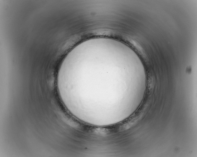 X0000089880261200707262215