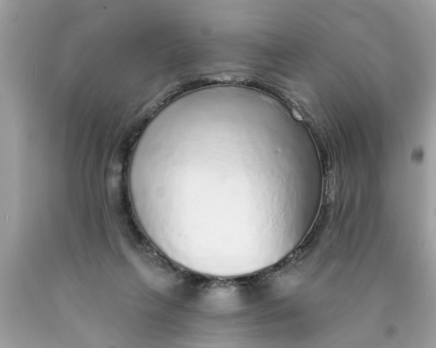 X0000089880263200707262215