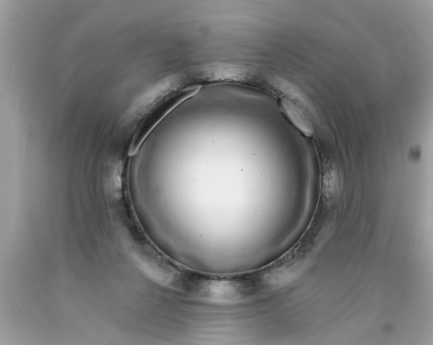 X0000089880264200707262215