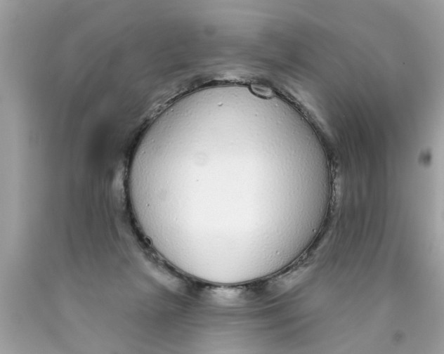 X0000089880265200707262215