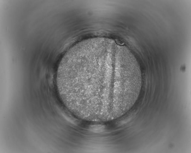 X0000089880266200707262215