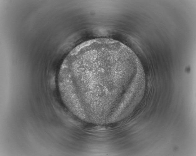 X0000089880267200707262215