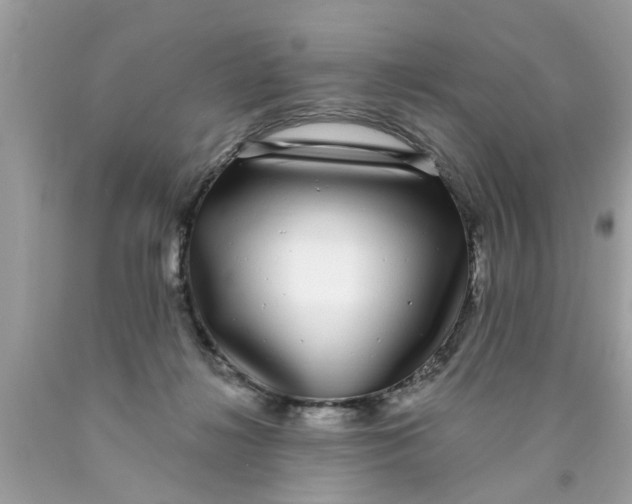 X0000089880268200707262215