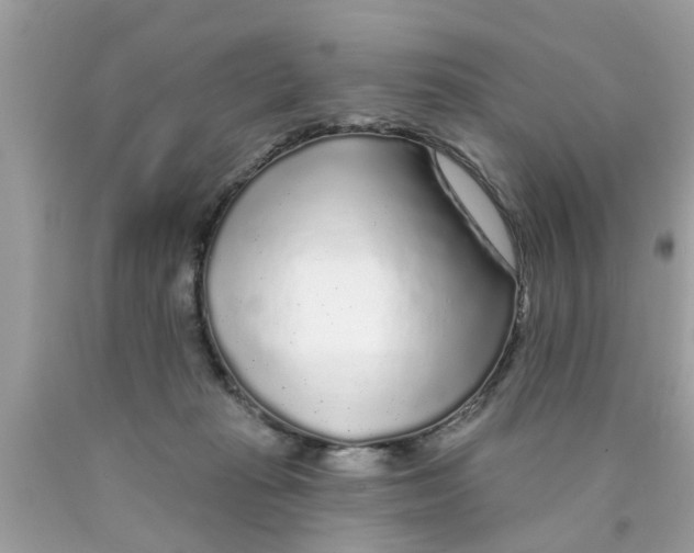 X0000089880269200707262215