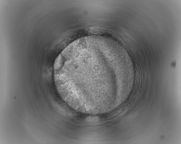 X0000089880271200707262215