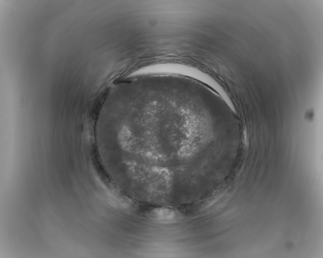 X0000089880272200707262215