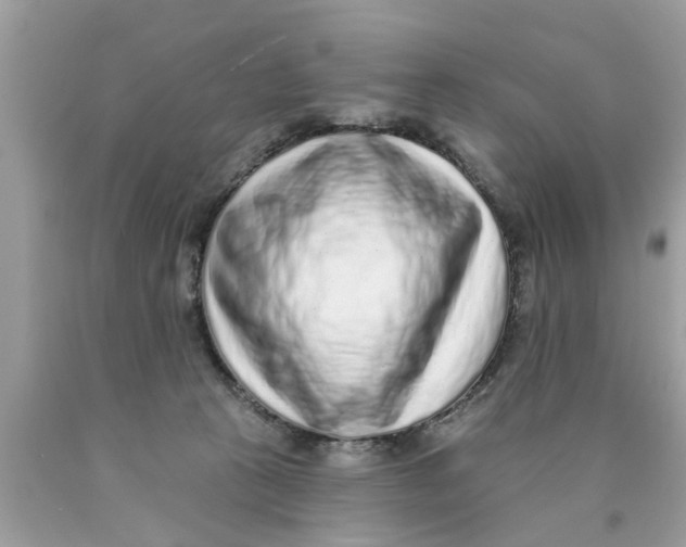 X0000089880273200707262215