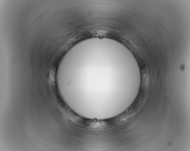 X0000089880274200707262215