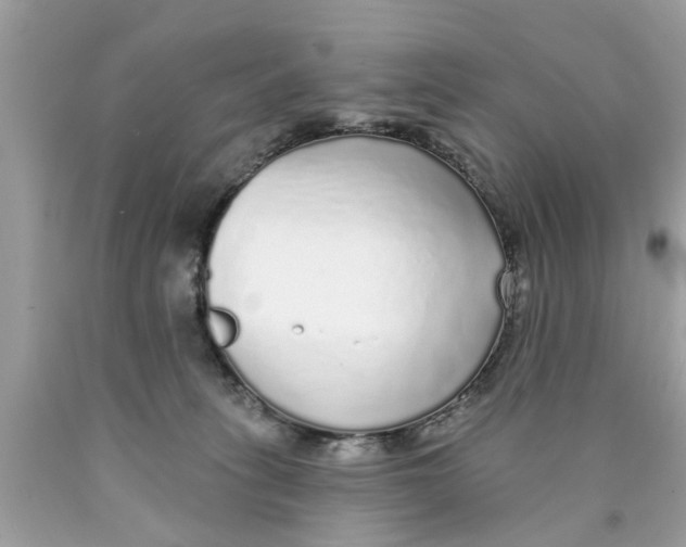 X0000089880275200707262215