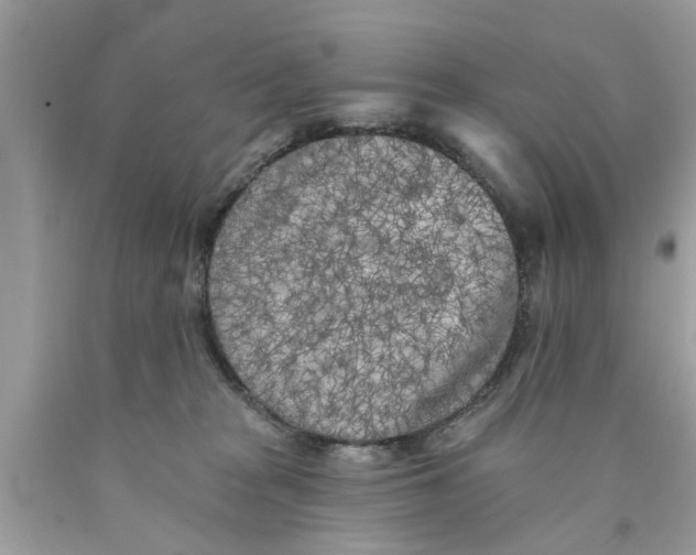 X0000089880277200707262215