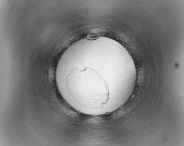 X0000089880278200707262215