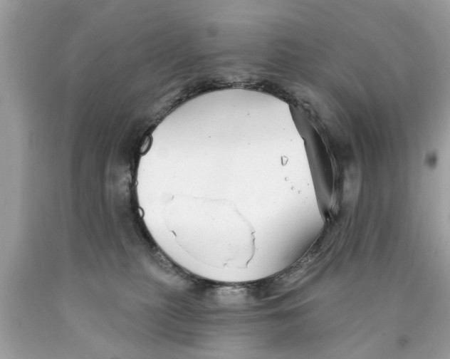 X0000089880279200707262215