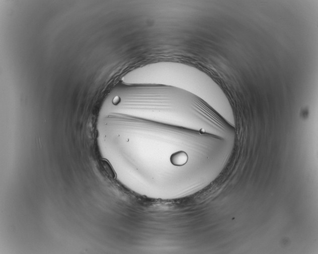 X0000089880280200707262215