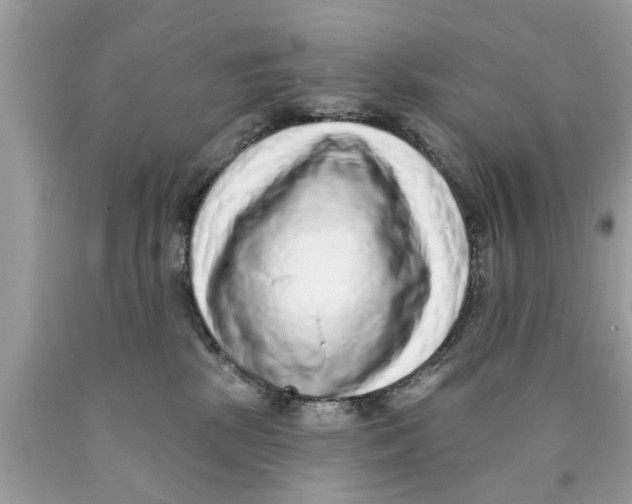 X0000089880281200707262215