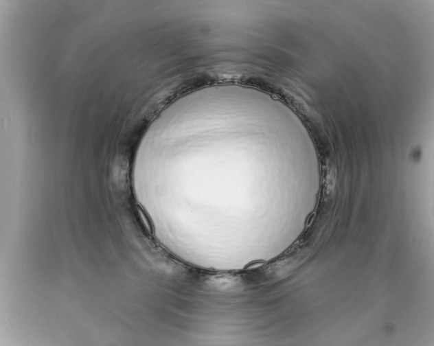 X0000089880283200707262215