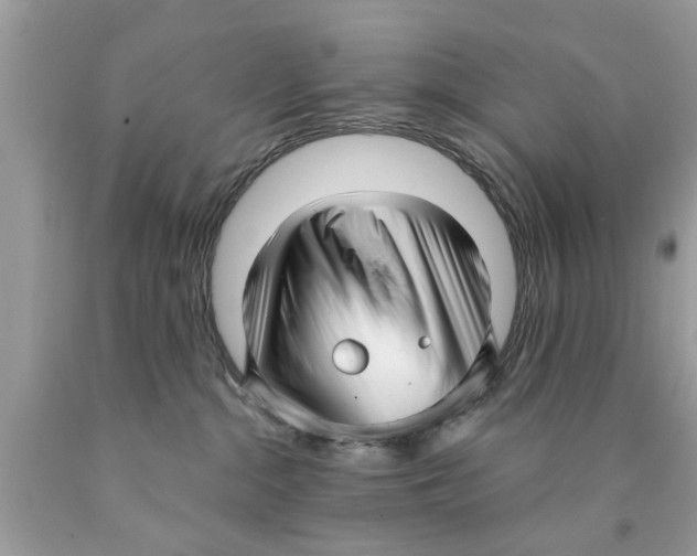 X0000089880284200707262215