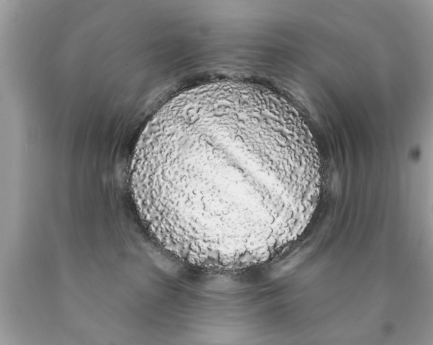 X0000089880285200707262216