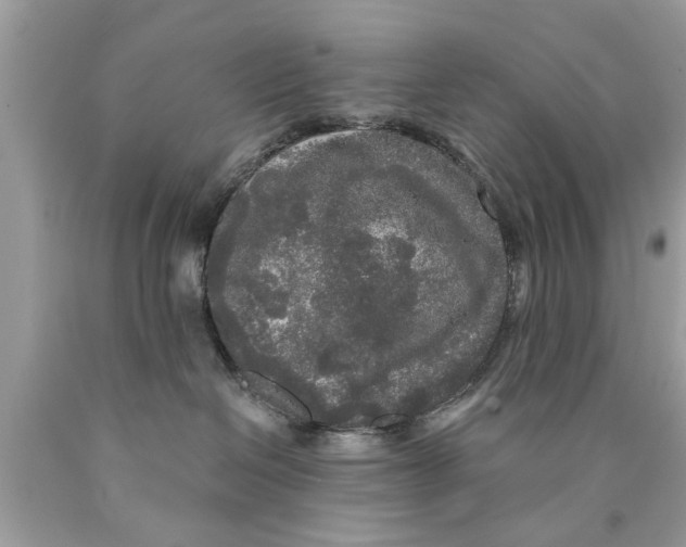 X0000089880286200707262216